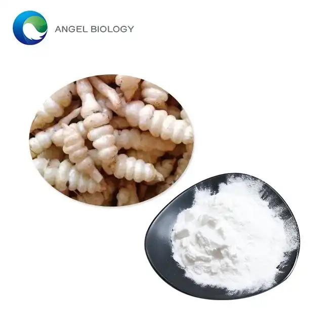 The King of Natural Prebiotics! Stachyose: The "Invisible Guardian" of Gut Health